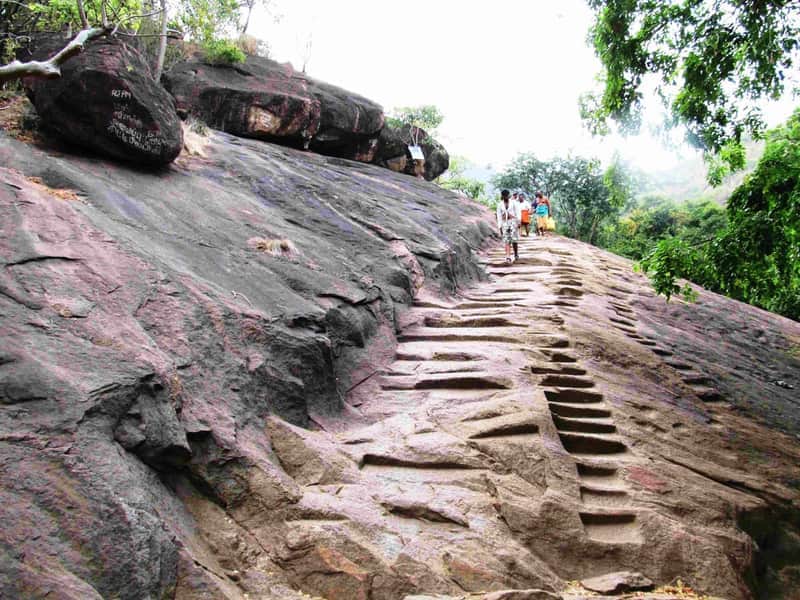 Sathuragiri Hills